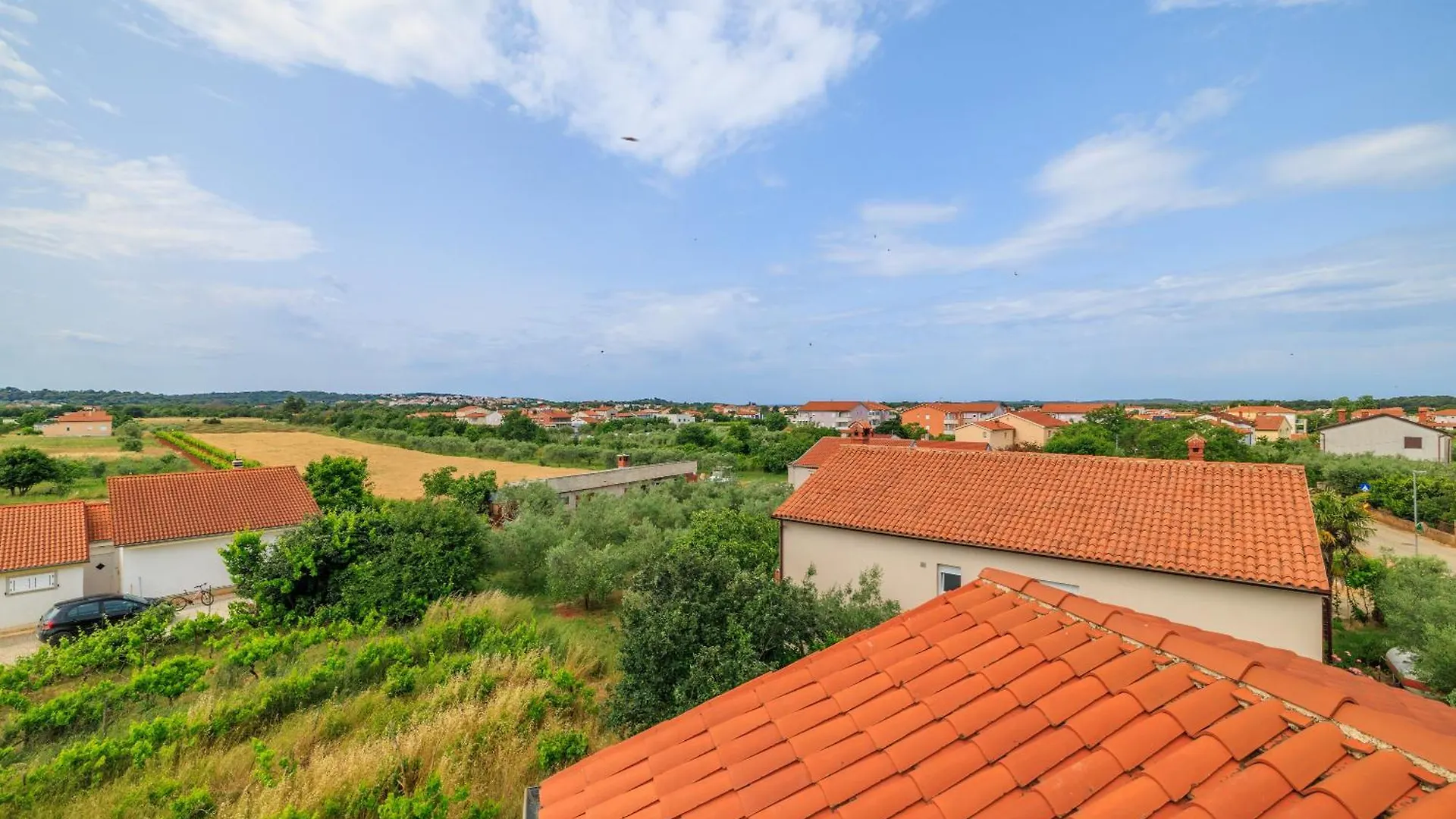 House Luigi Blue And Green In One Place Valbandon Appartement